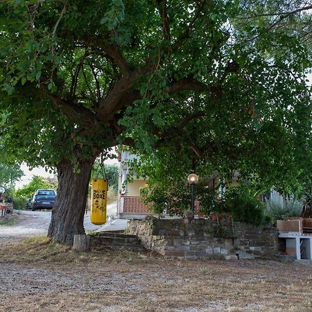 Casa Vacanze Diamante Ogliastro Cilento Dış mekan fotoğraf