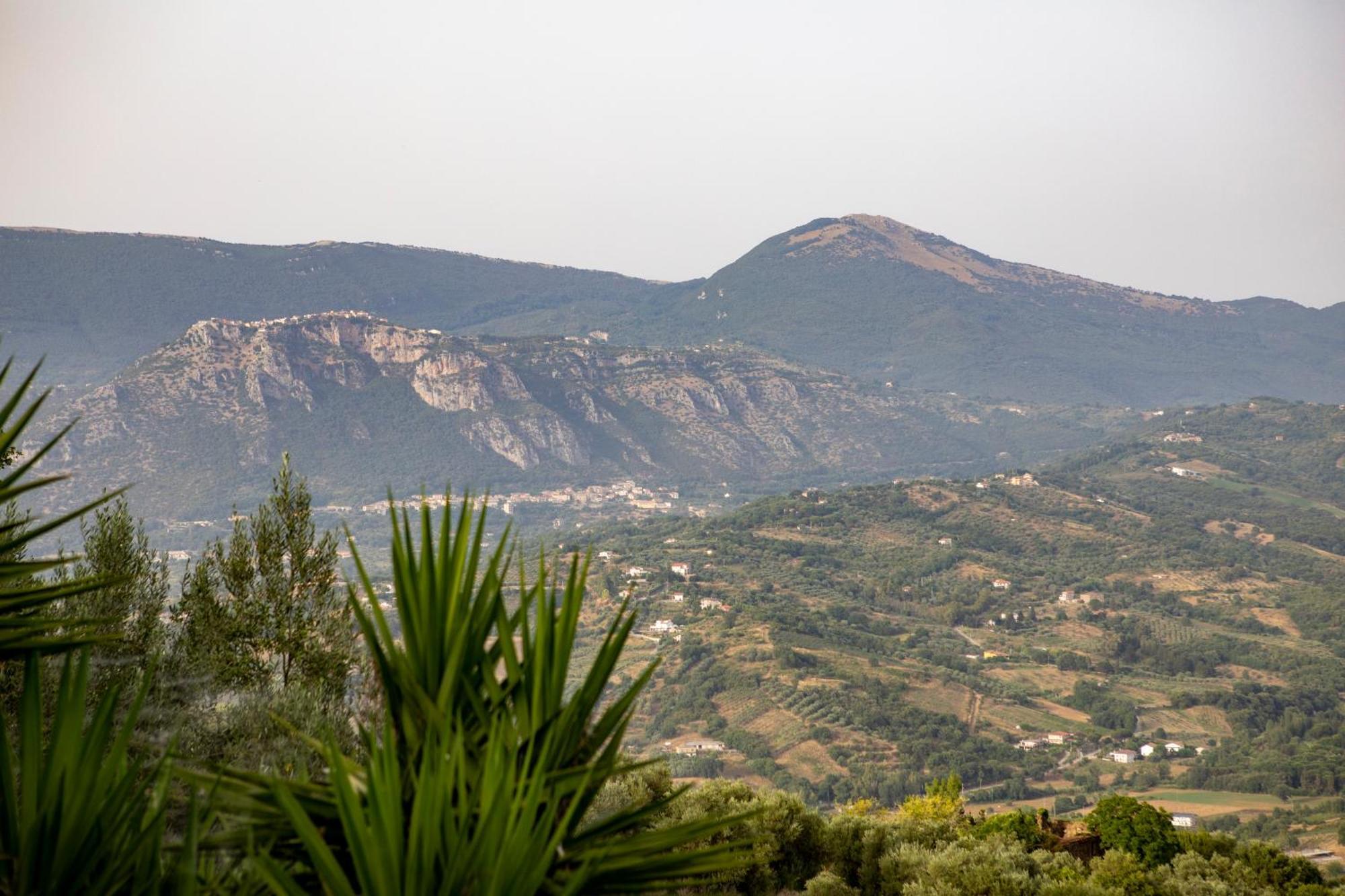 Casa Vacanze Diamante Ogliastro Cilento Dış mekan fotoğraf