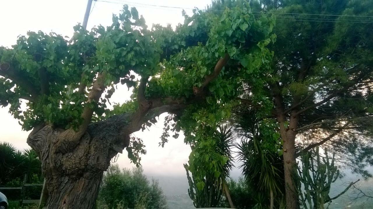 Casa Vacanze Diamante Ogliastro Cilento Dış mekan fotoğraf