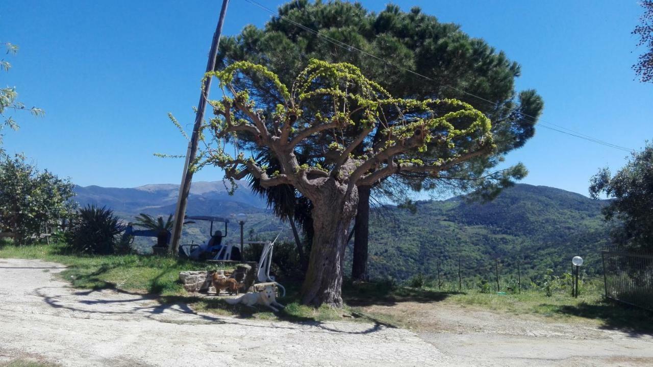 Casa Vacanze Diamante Ogliastro Cilento Dış mekan fotoğraf