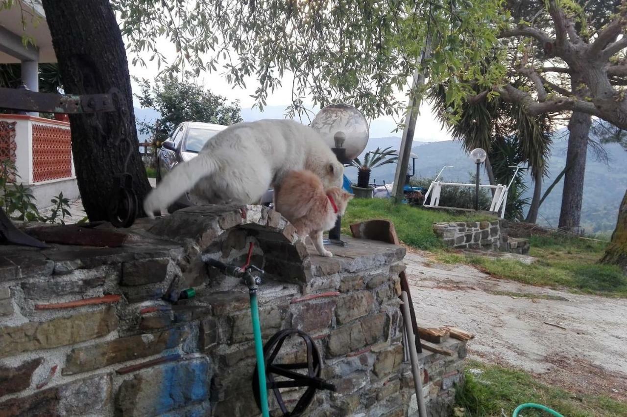 Casa Vacanze Diamante Ogliastro Cilento Dış mekan fotoğraf